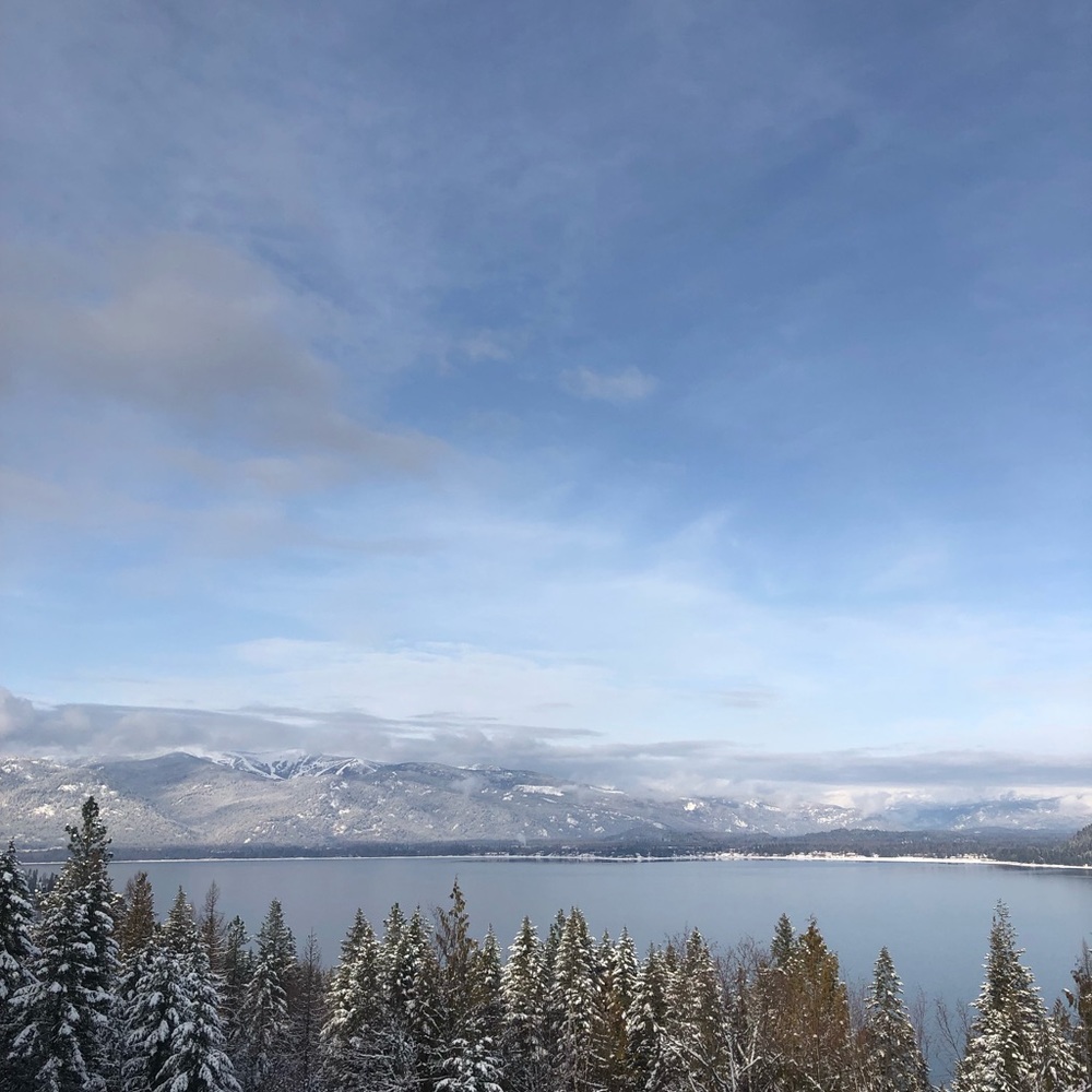 Meet your Posher, Alexa